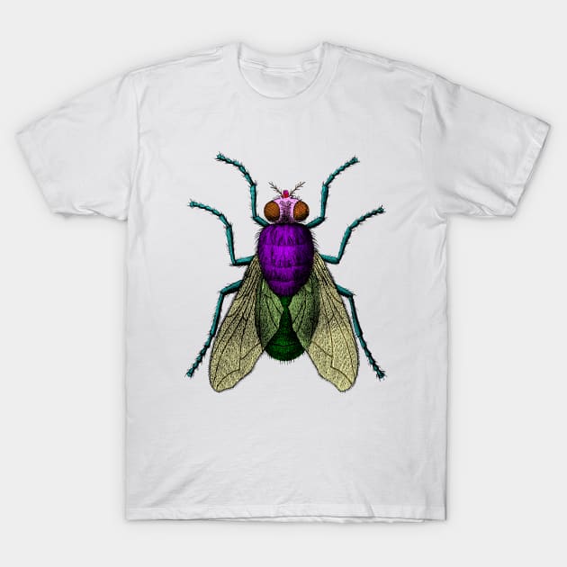 The Fly T-Shirt by Wright Art